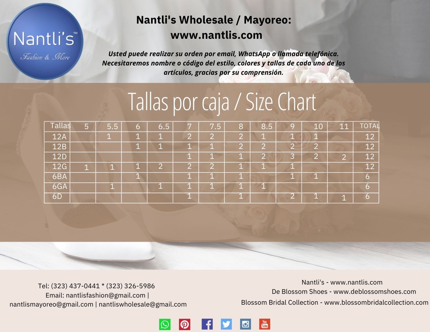 Nantlis Vol BL-56 Zapatos de Novia Mayoreo Catalogo Wholesale womens bridal Shoes_Page_11